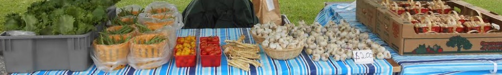 Photo de nos produits